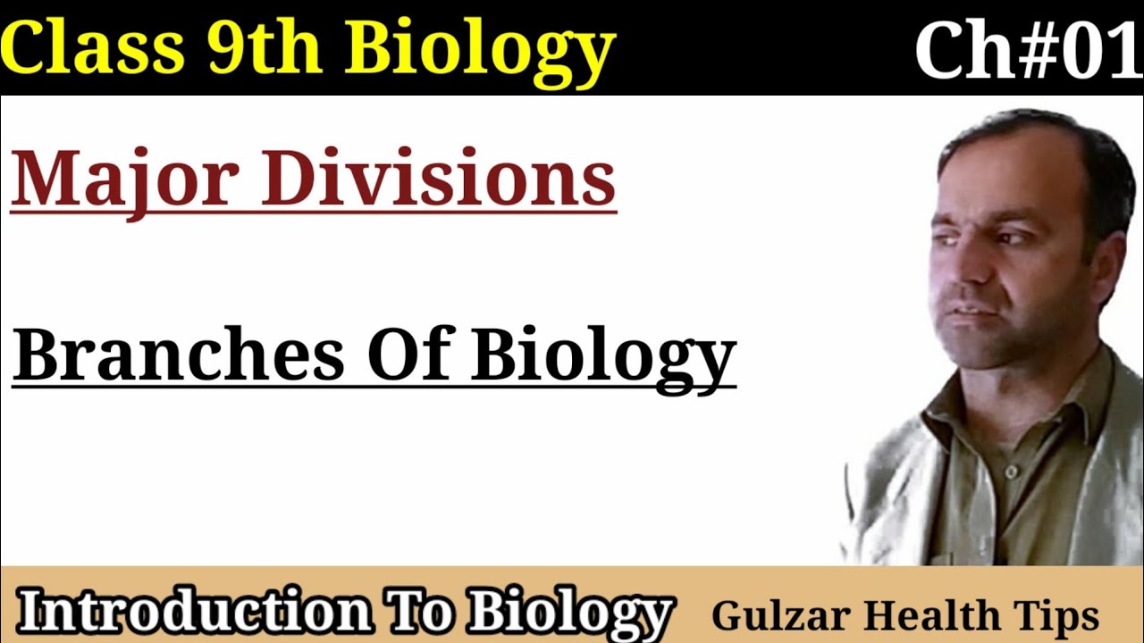 Major Divisions of Biology | Branches Of Biology class 9 biology.