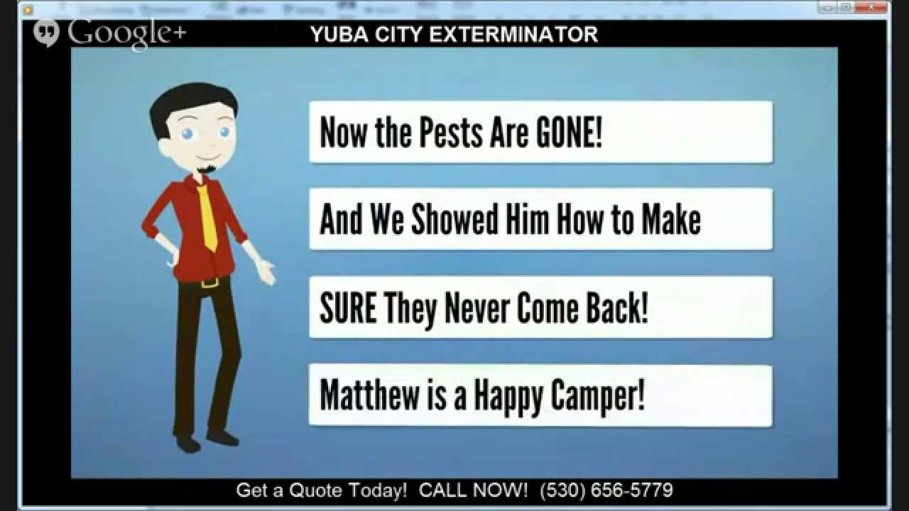 Yuba City Exterminators | (530) 656-5779 | Exterminators Yuba City