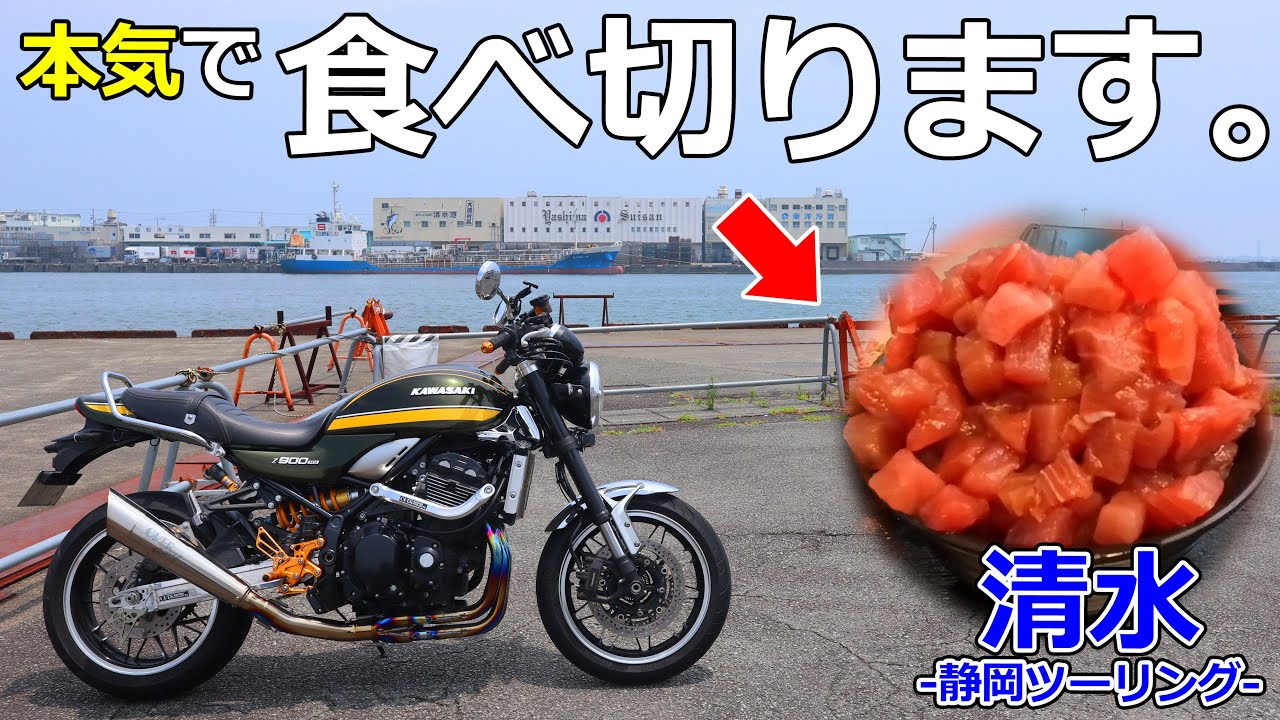 【静岡ツーリング】残したらダメ！人気ツーリングスポットのまぐろ丼がヤバすぎた【モトブログ/Z900RS】【清水】