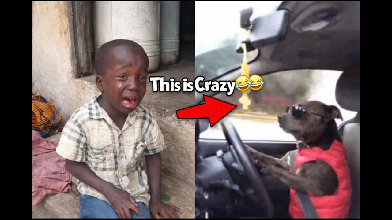 So funny, you can’t stop laughing |Part 21😂