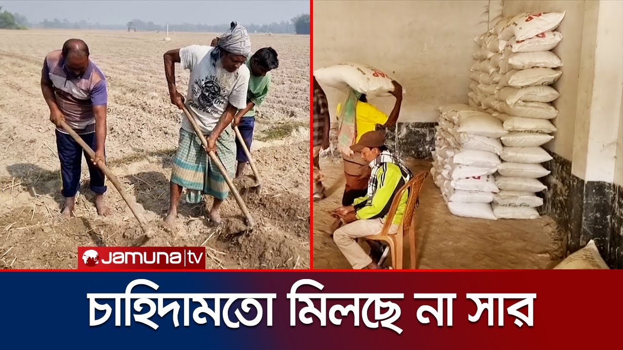 ডিলার-দোকান ঘুরেও পাচ্ছে না সার; বিপাকে আলু চাষীরা | Joypurhat | Fertilizer Crisis | Jamuna TV