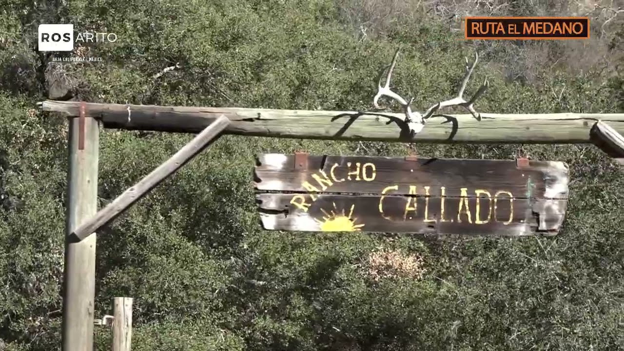 BajaCaliforniando en  