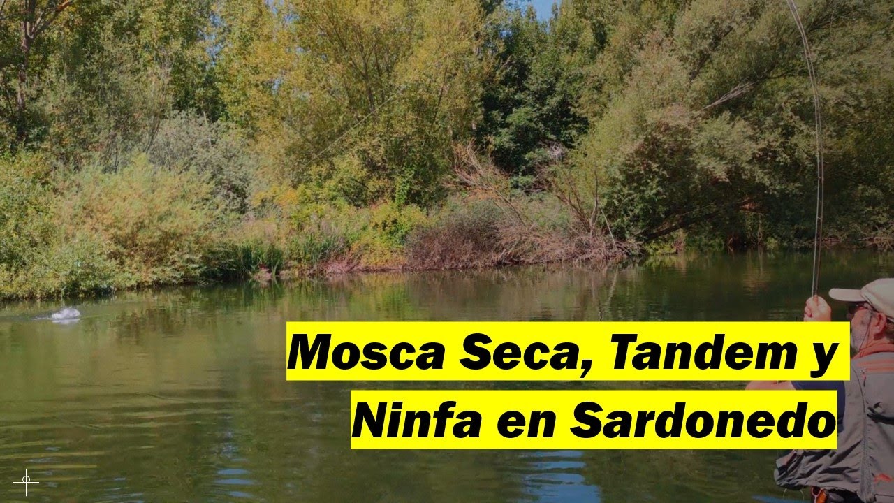 Mosca Seca, Tandem y Ninfa en Sardonedo // Pesca con mosca León