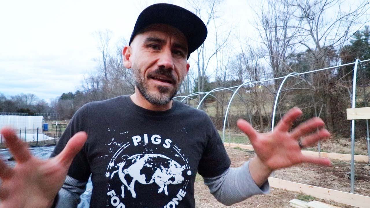 Pig Shelter THOUGHTS (Homestead vlog)