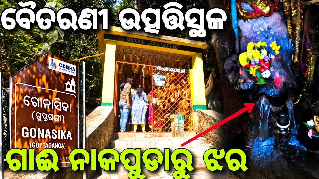 Gonasika (ଗୋନାସିକା) - Origin of The Baitarani River | Keonjhar | #gouttam