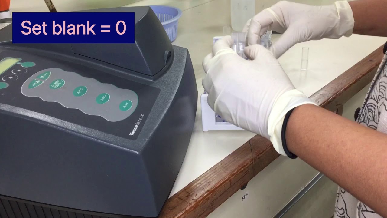 Enzyme kinetics