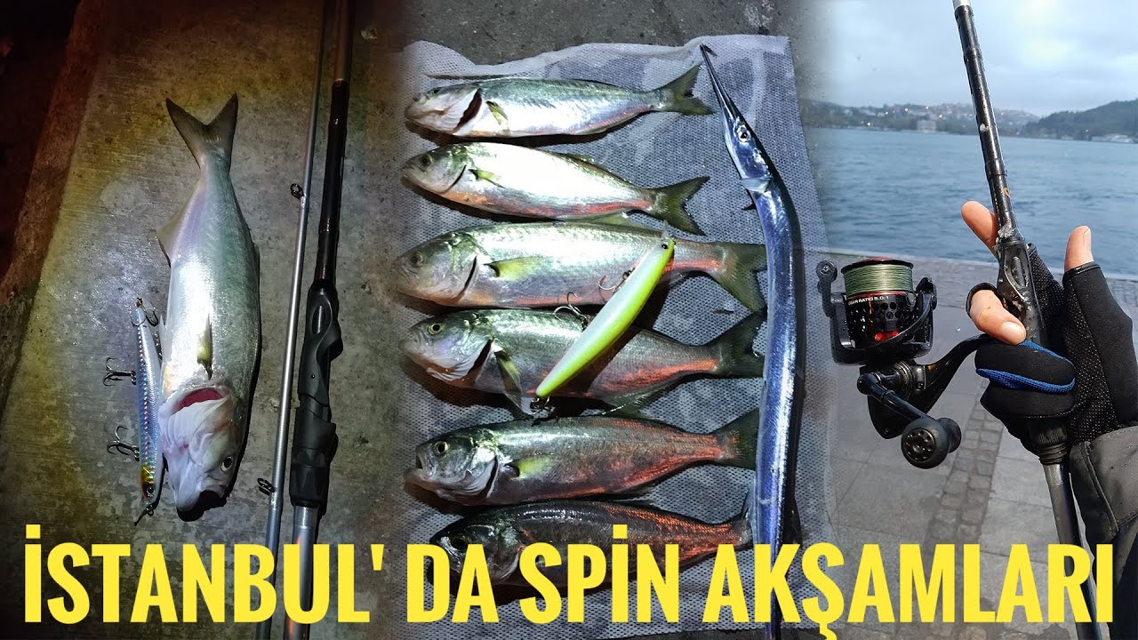 Spin İle Çinekop, Sarıkanat Avlarımdan Kesitler  --- İstanbul Spin Avı --- Verim Aldığımız Sahteler