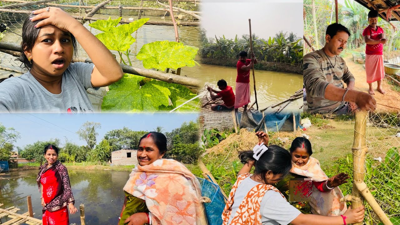 গাছ গুলো আবার কি হলো? পিসি আর মা জেঠুর ঘর দেখে কি বললো 