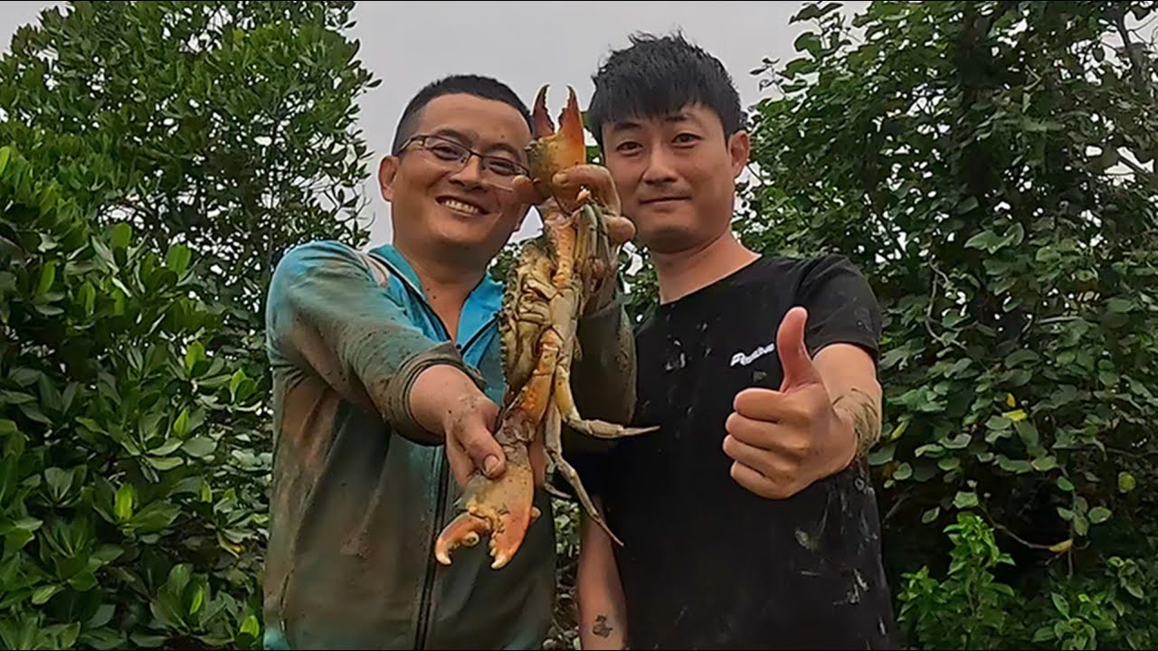 这种蟹王洞老赶海人见了绕道走，渔夫忍了3年终于挖了，螃蟹大到粉丝都害怕