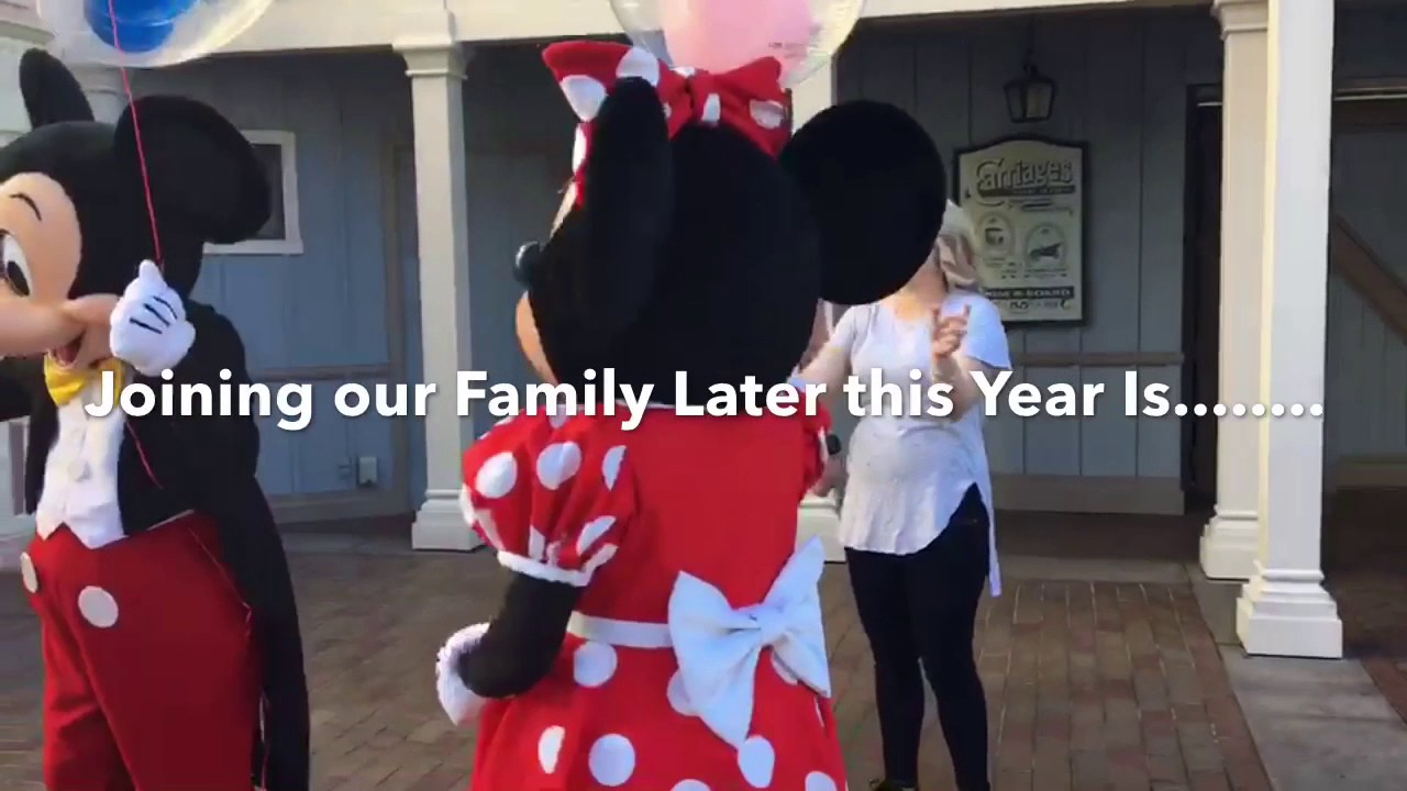 Our Disneyland Gender Reveal