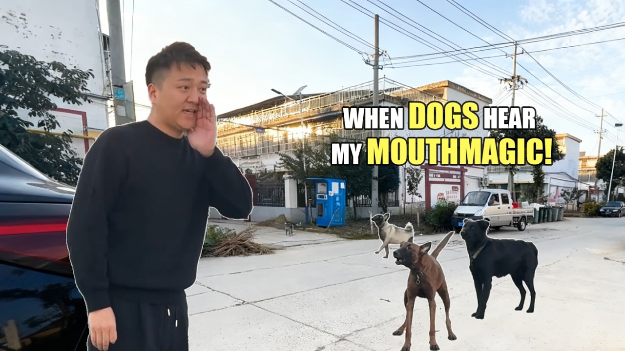 Mr. MouthMagic vs. Real Dogs: Can I Fool Them? 🐶🤔