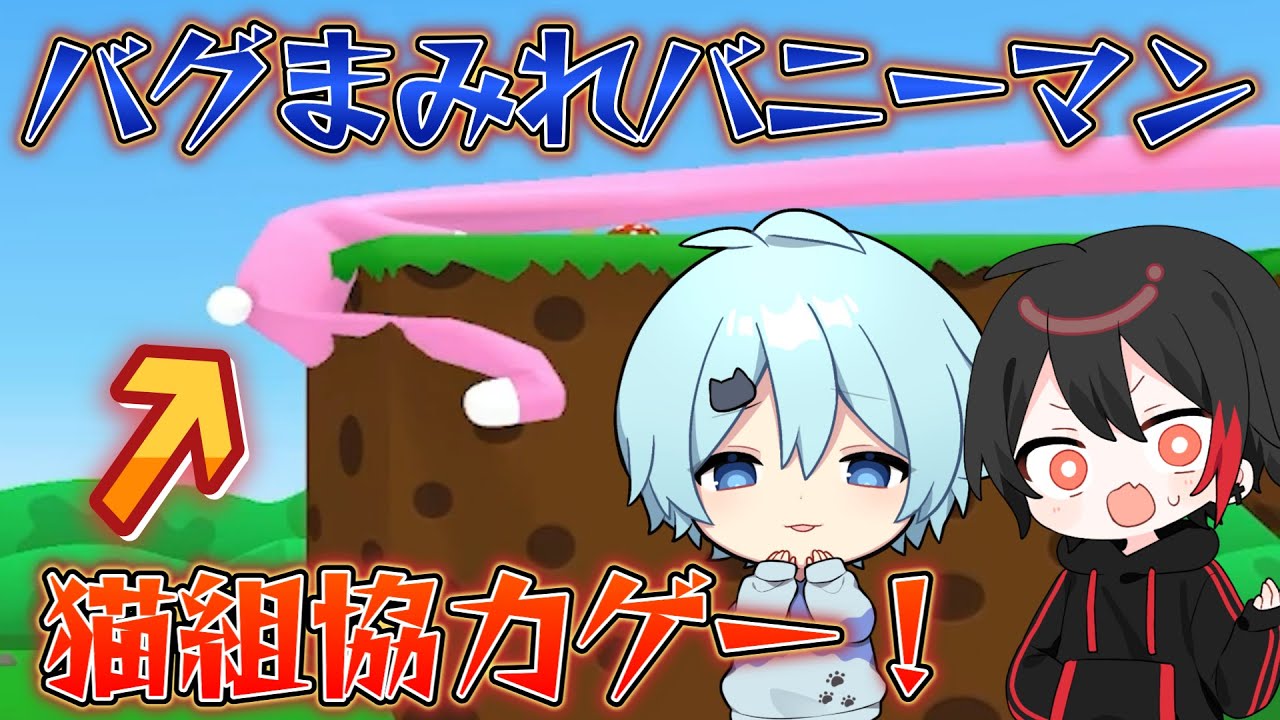 【爆笑】バグまみれの馬鹿ゲーを猫組でやったら面白すぎたｗｗｗｗｗｗ【そらねこ】【めろんぱーかー】【KAITOストーリー】