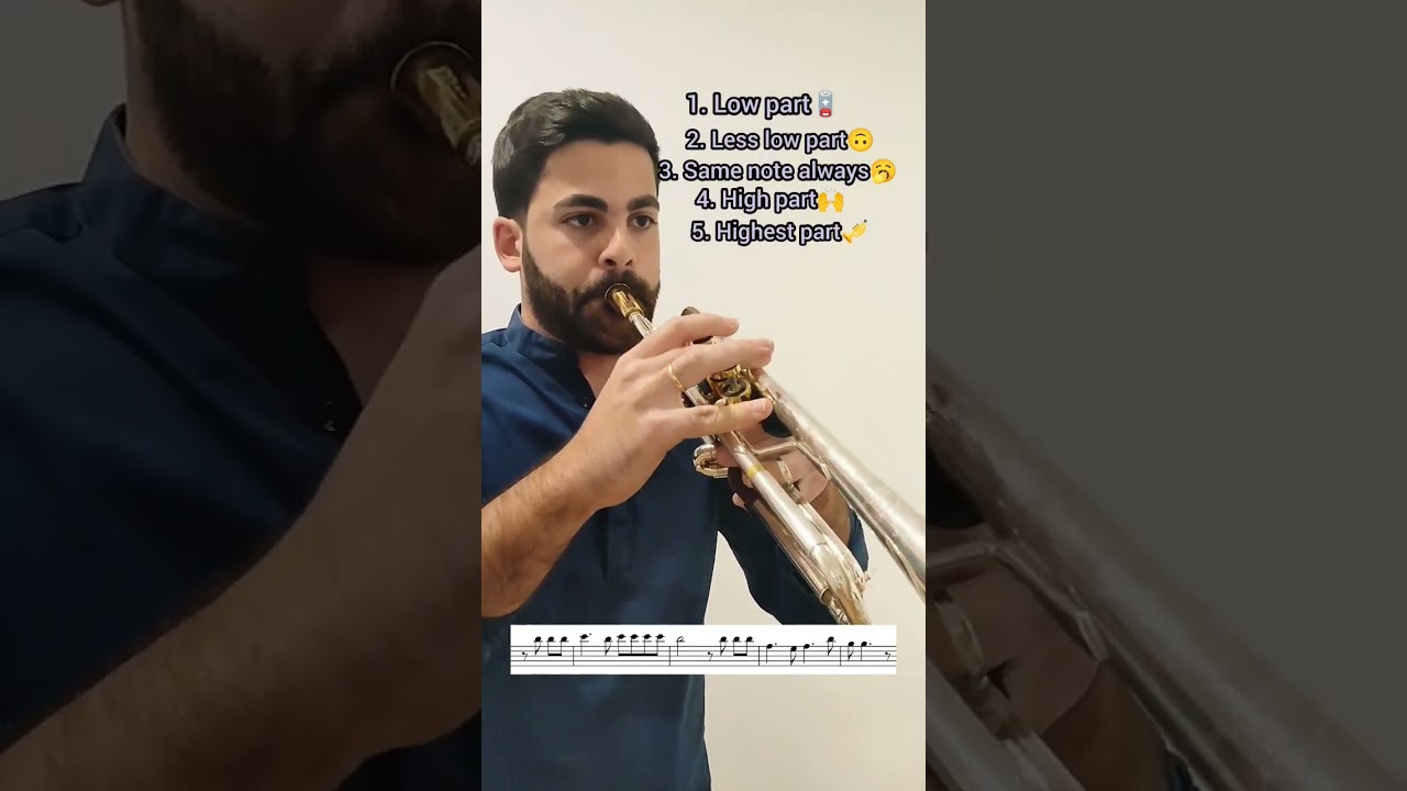 The Nights-Avicii🌃🎧🎛️🎶🎺 #bachbrass #bachtrumpet #kgumusic #mgleatherwork #trumpet