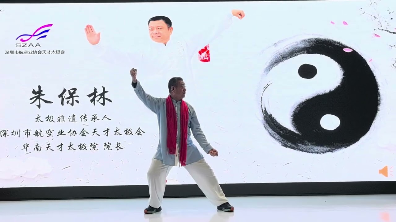 深航协天才太极会表演