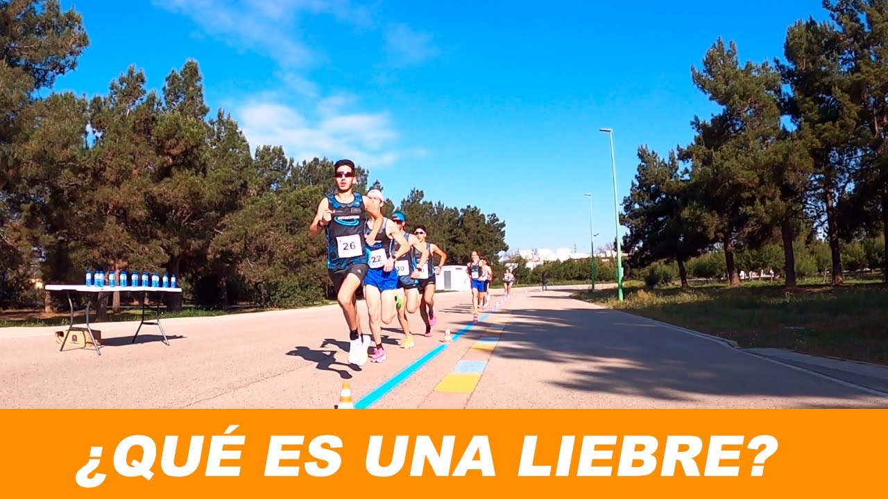 Hago de liebre en el autonómico de fondo / Jaume Albarañez