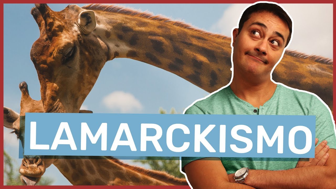 Teoria de Lamarck | Lamarckismo |  Evolu&ccedil;&atilde;o | Prof. Paulo Jubilut