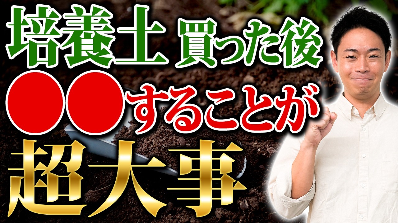 植物の育ちは培養土の品質×環境で決まる！この２つを調整して微生物が過ごしやすい環境を作ることが大事【家庭菜園 土づくり ガーデニング 土壌改良】