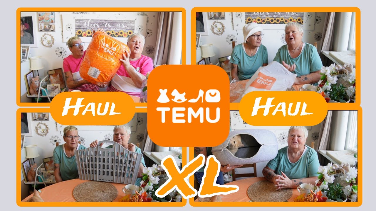 #temu  Neuer XL Temuhaul Geschenk Idee | Temuerfahrung