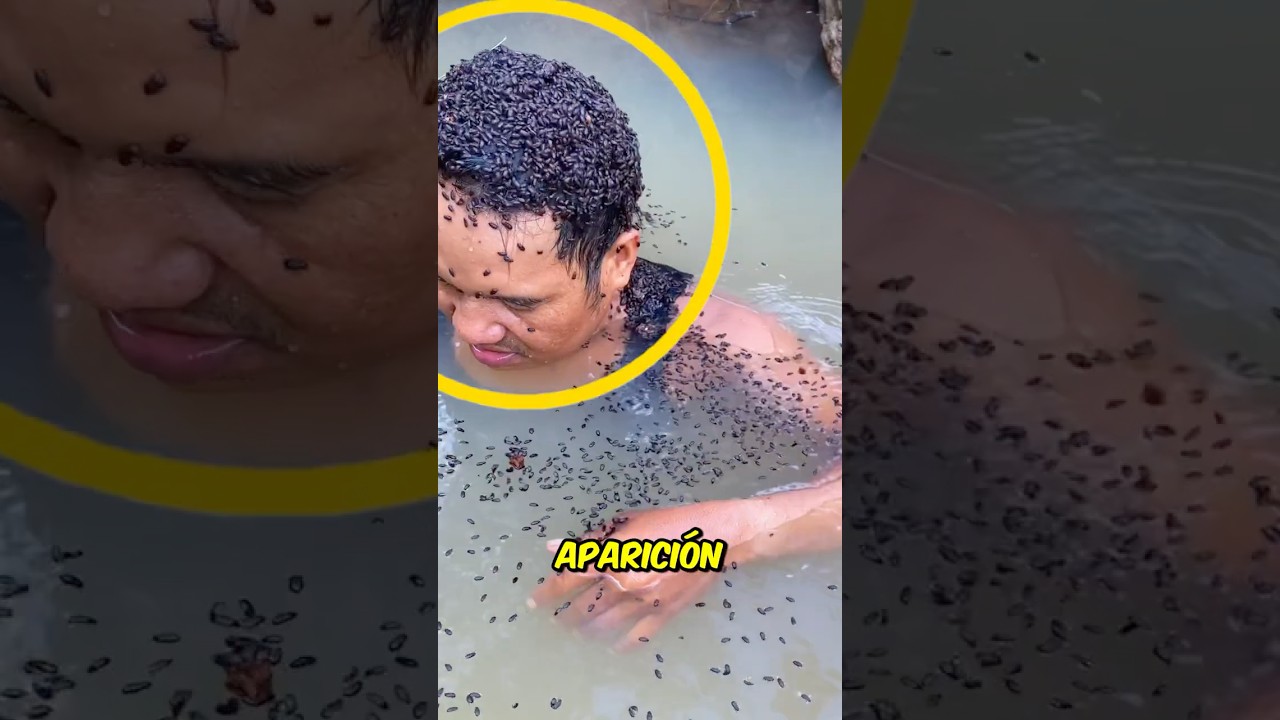Si te lavas con champ&uacute; a diario ten cuidado! 😨