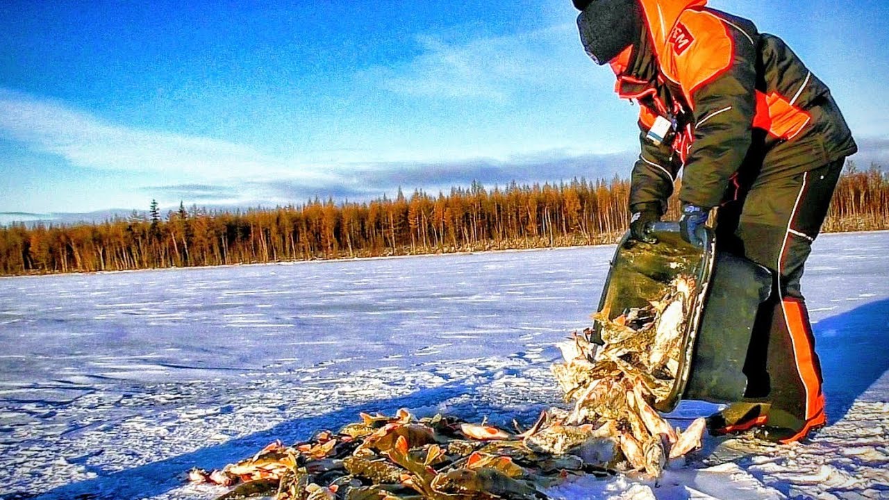 ЗДЕСЬ РЫБЫ БОЛЬШЕ ЧЕМ ВОДЫ!!! ПЕРВЫЙ ЛЁД 2025-2026г.