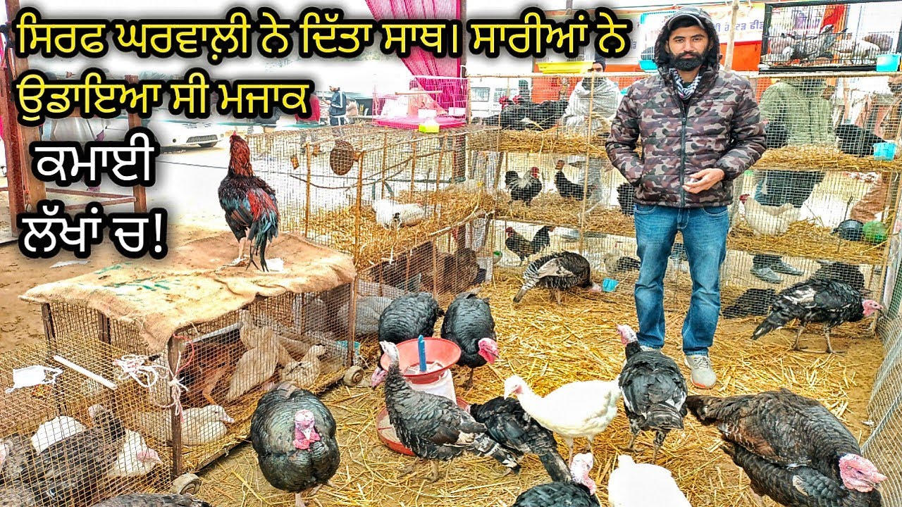 ਮਹੀਨੇਂ ਦੀ ਕਮਾਈ ਨੂੰ ਬਣਾਇਆ ਇੱਕ ਦਿਨ ਦੀ ਕਮਾਈ!ਪ੍ਰਾਈਵੇਟ ਨੌਕਰੀ ਛੱਡੀ ਇਸ ਲਈ @farming baba maghi mela punjab