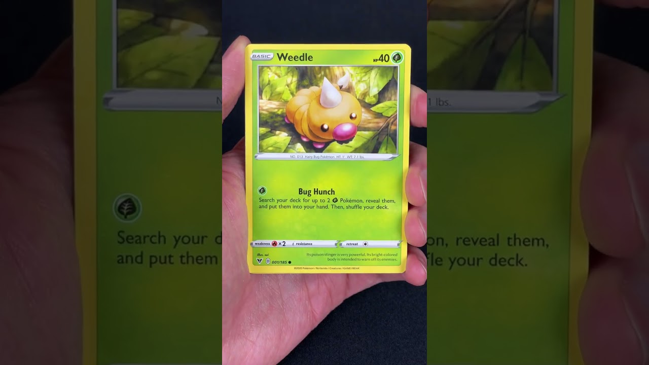 spring break pack rip vivid voltage 