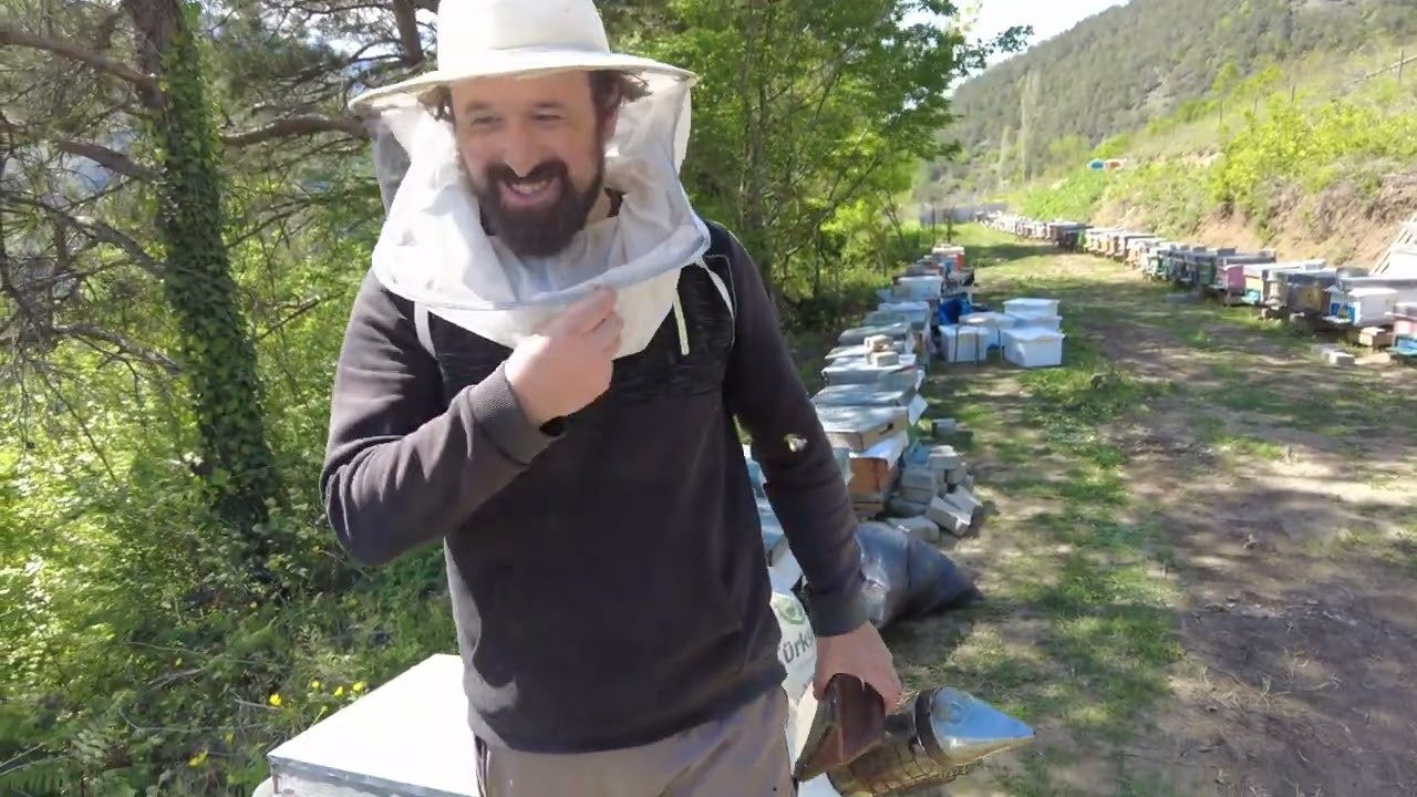 Kafkas arısı bal sezonuna hazırlanıyor( Şerafettin Tiryaki'nın arılığı ) #bee #honey #kestanebalı