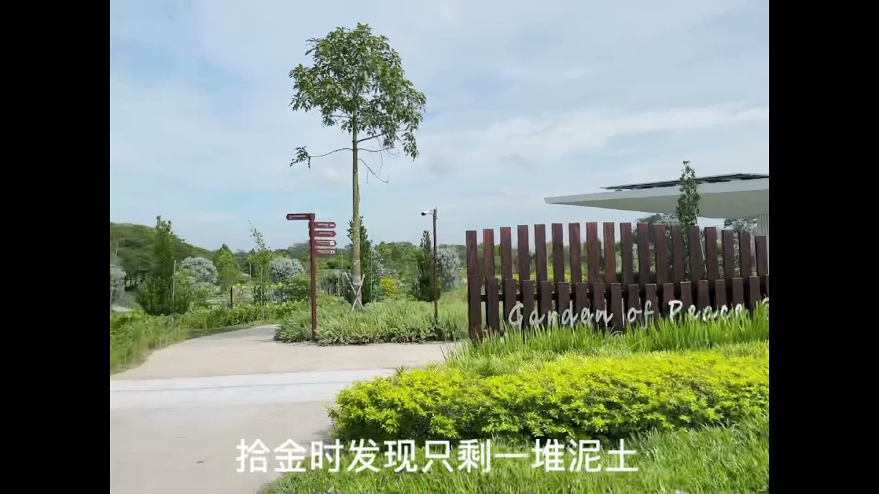新加坡绿葬（生态葬）