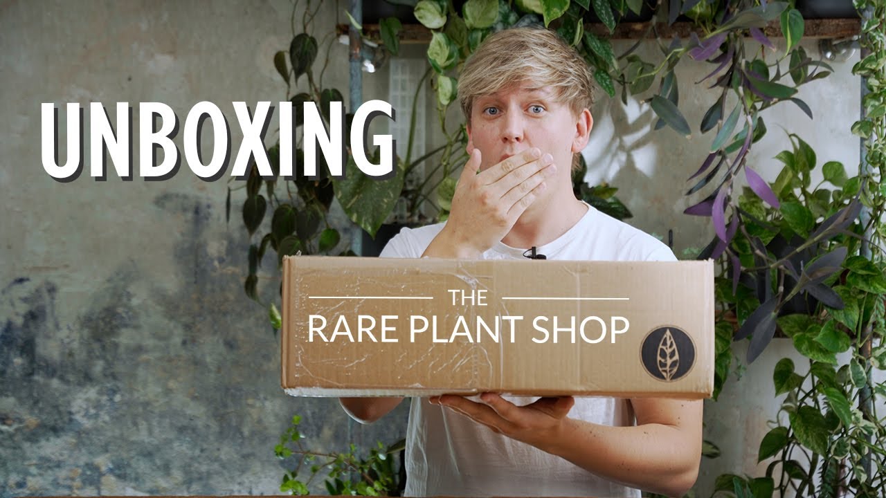 Das hätte ich NIE von Kaylee Ellen erwartet 😱 The Rare Plant Shop Unboxing | Plant Haul 🌱