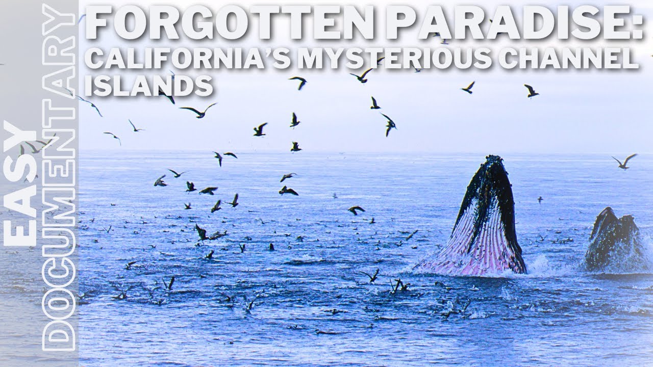 Forgotten Paradise: California&rsquo;s Mysterious Channel Islands - Full Documentary