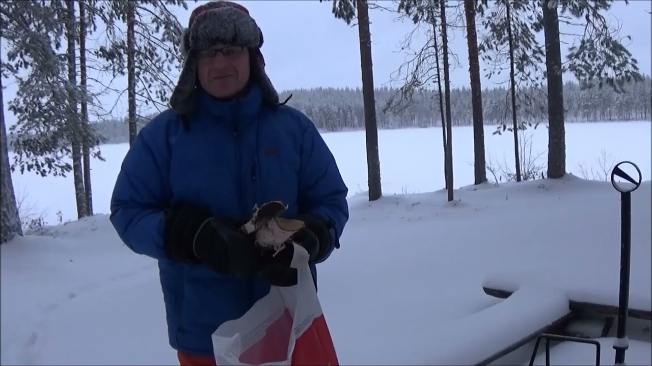 Päiväretki Syväjärvi, Kuhmo 21.12.2024.