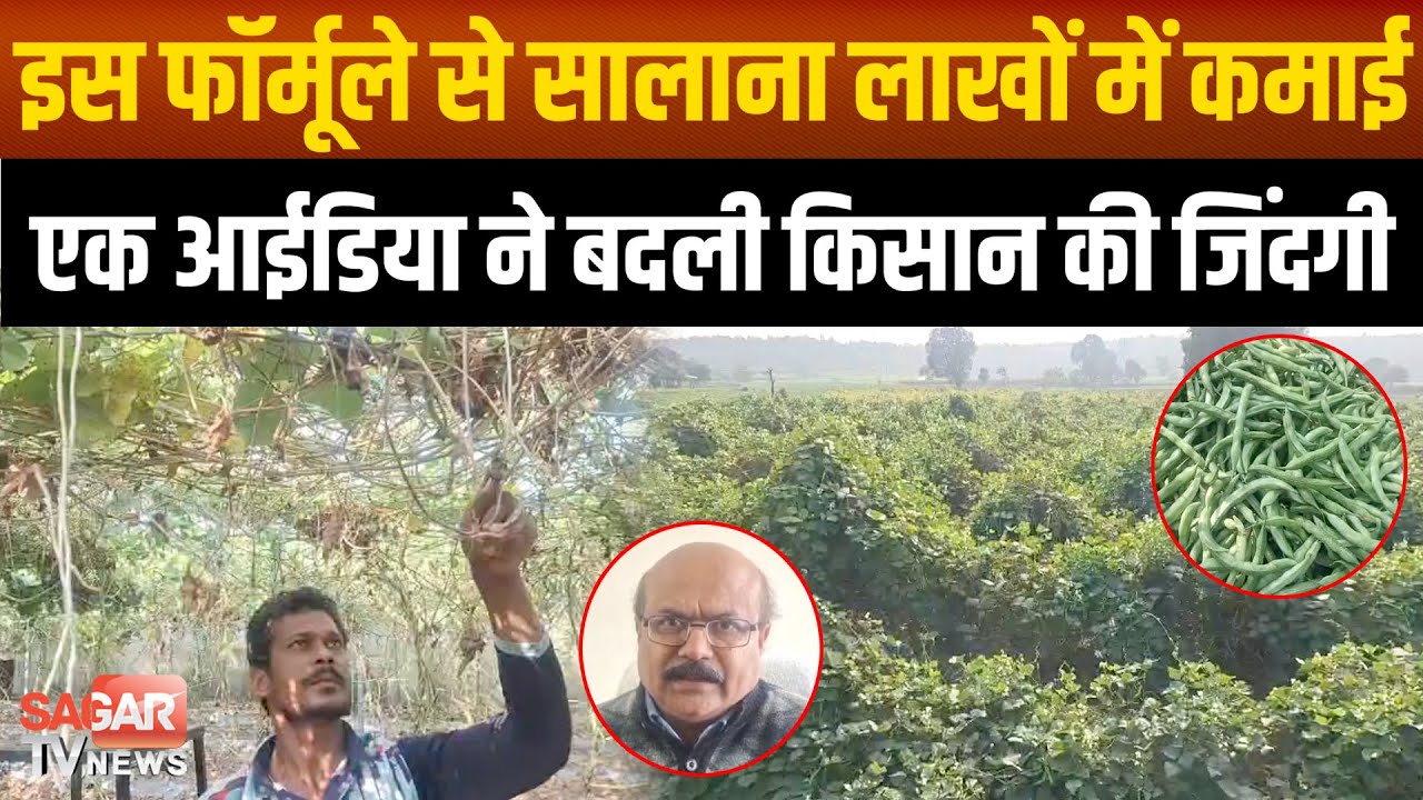 Sagar- इस आइडिया ने बदली जिंदगी जानें क्या है किसान के लखपति बनने का गजब फॉर्मूला ! |SAGAR TV NEWS|