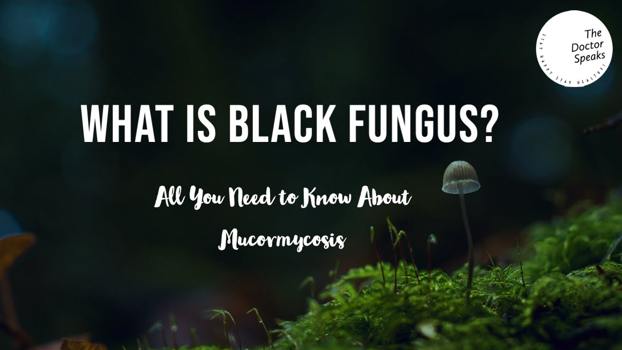 What is Black Fungus? How To Prevent Post Covid Mucormycosis?