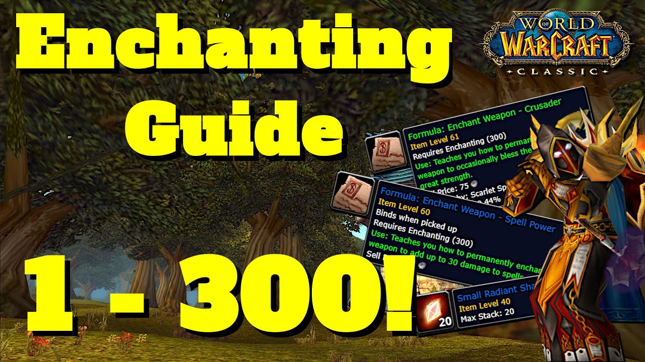Простое руководство по наложению чар в Wow Classic 1-300 | Roly The Holy Paladin | Классическое н...