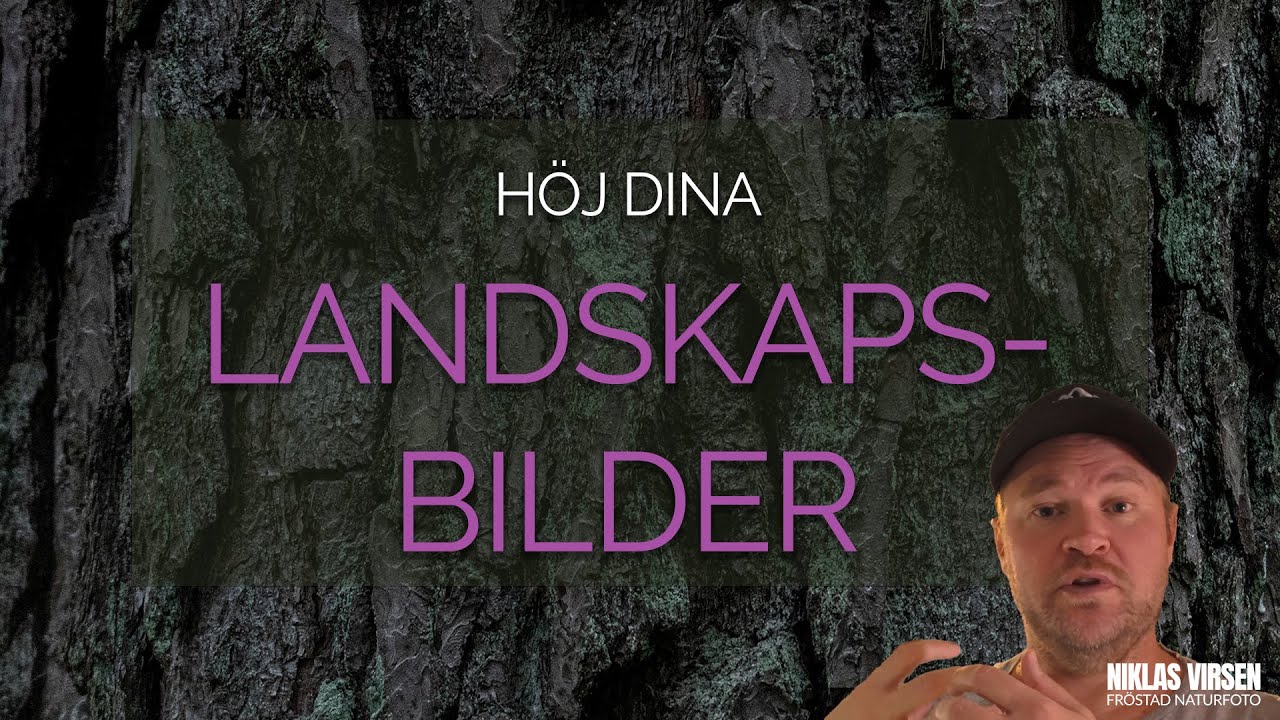 Intima landskap med tele, fokus stacking steg för steg