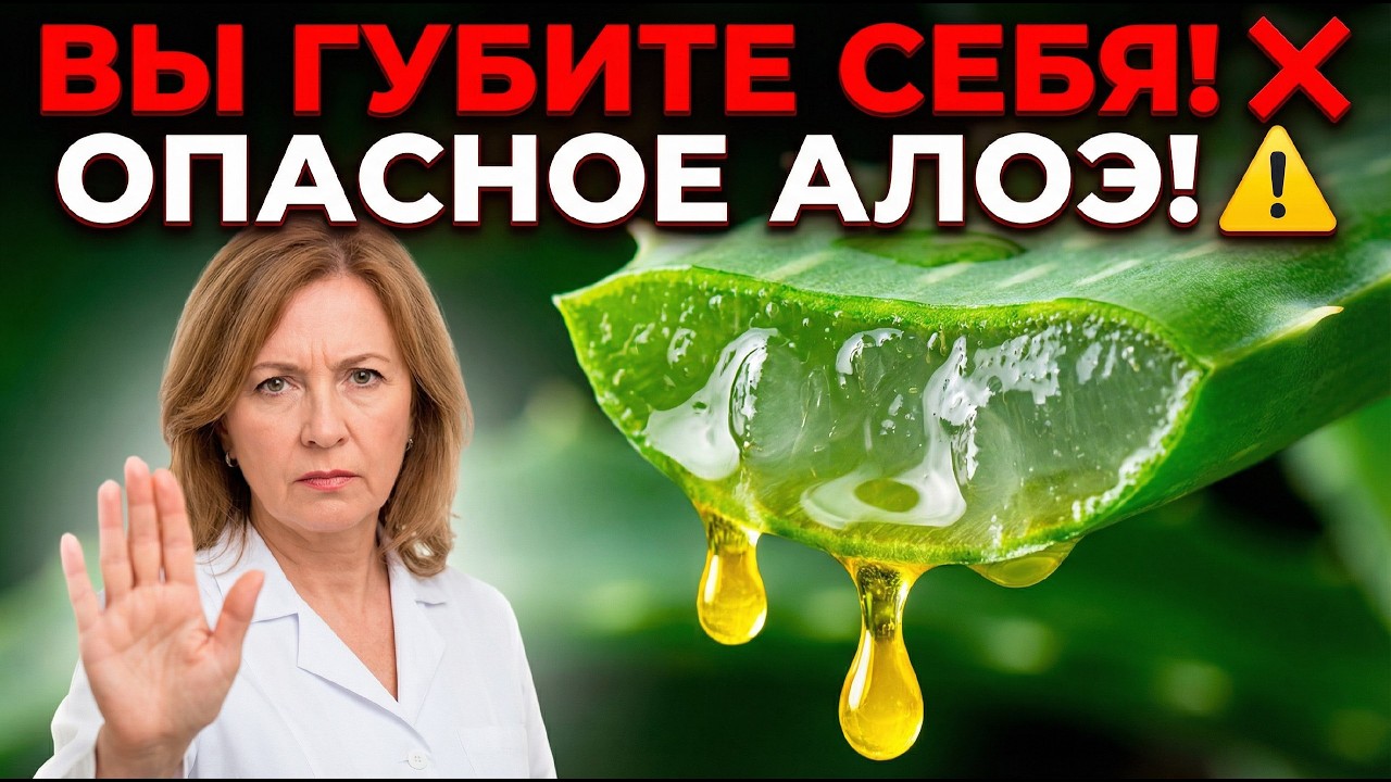 Почему 90% людей используют АЛОЭ неправильно? Врач раскрывает правду, которую скрывали 3500 лет!