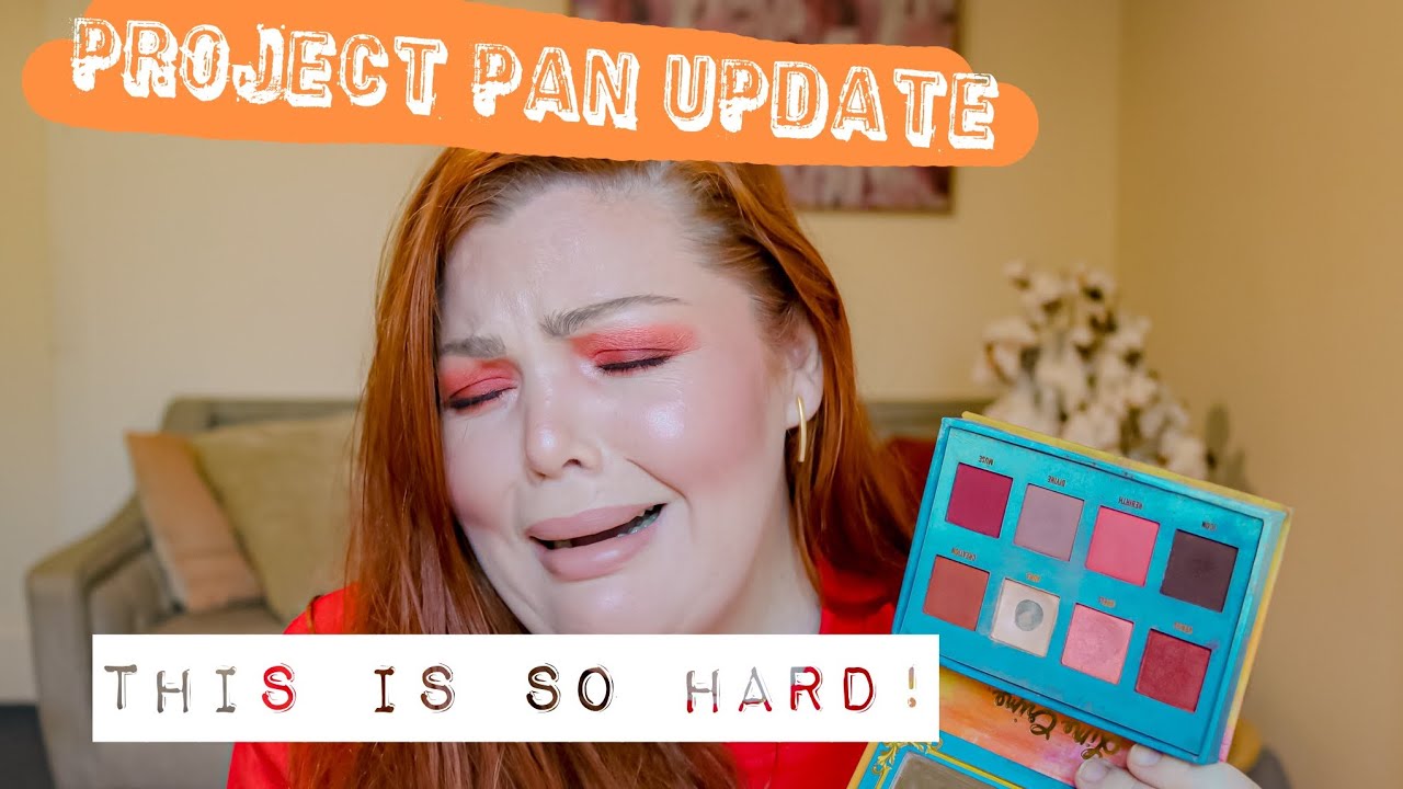 Project Pan Update #1 (quarterly)