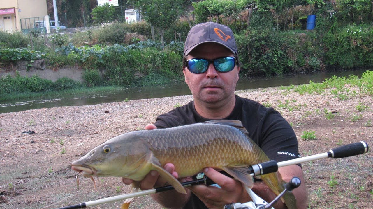 Pesca aos Barbos com Savage Gear Nails/Fishing for Barbel with Savage Gear Nails