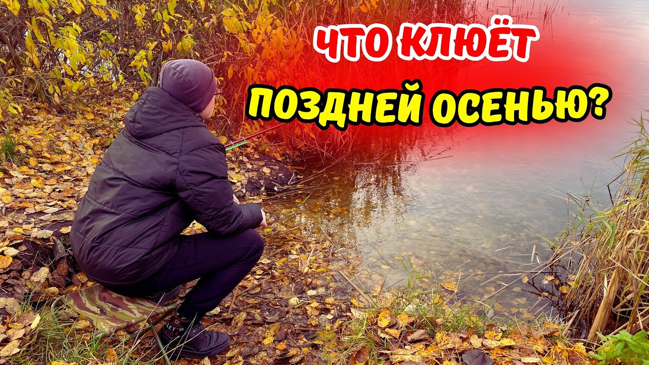Протестил клёв в ТРЁХ РЫБНЫХ МЕСТАХ - Рыбалка НА ПОПЛАВОК в ноябре месяце!!!