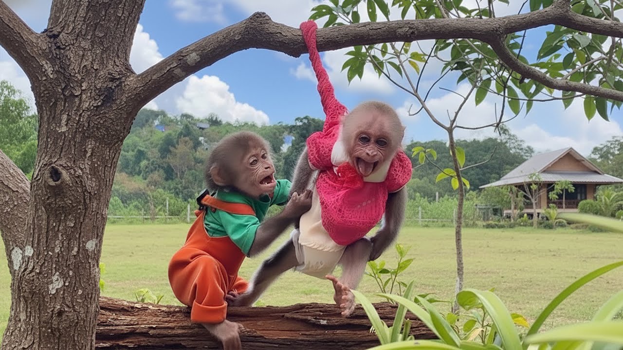 Monkey Bon tries to save screaming Moon but fails helplessly
