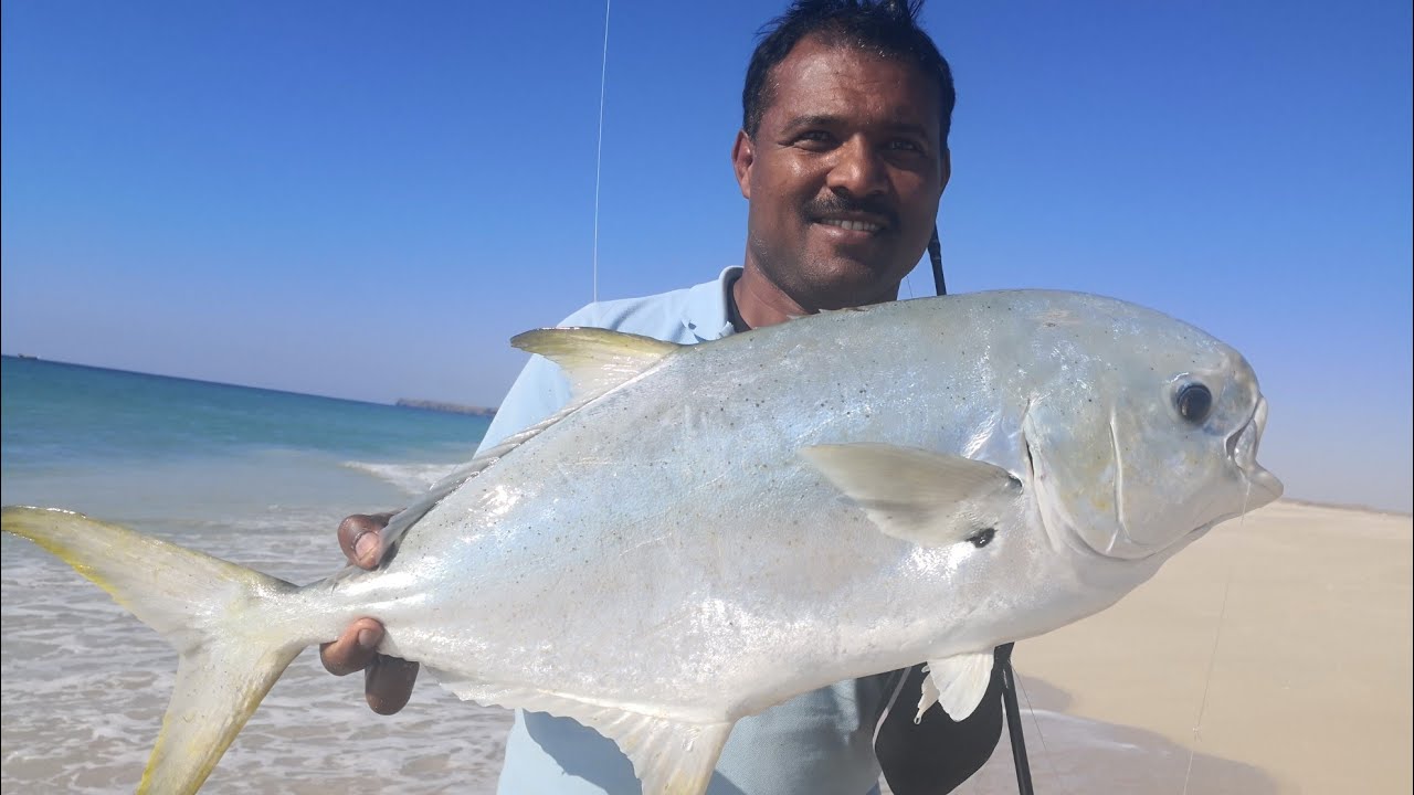 Big Permit Fishing in Ras Madrakah Ang Sulaiman