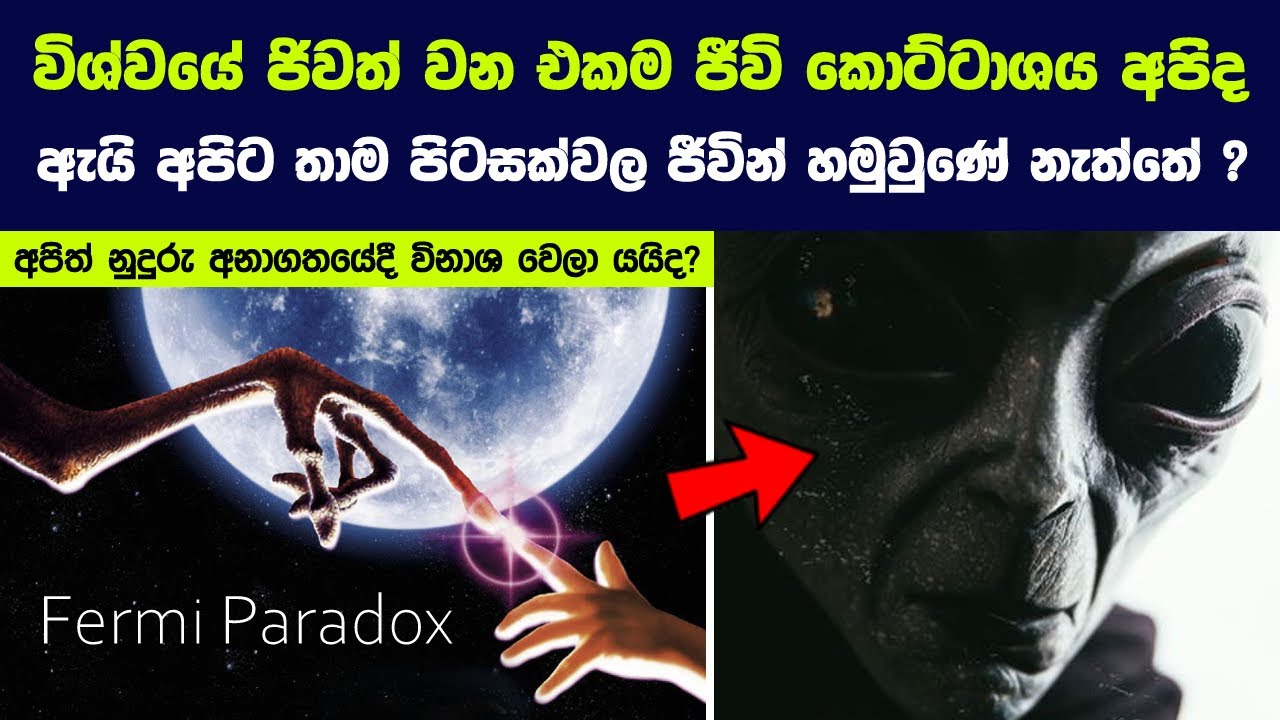 ඇයි අපිට තාම පිටසක්වල ජීවින් හමුවුණේ නැත්තේ ? | The Fermi Paradox: Where Are All the Aliens?