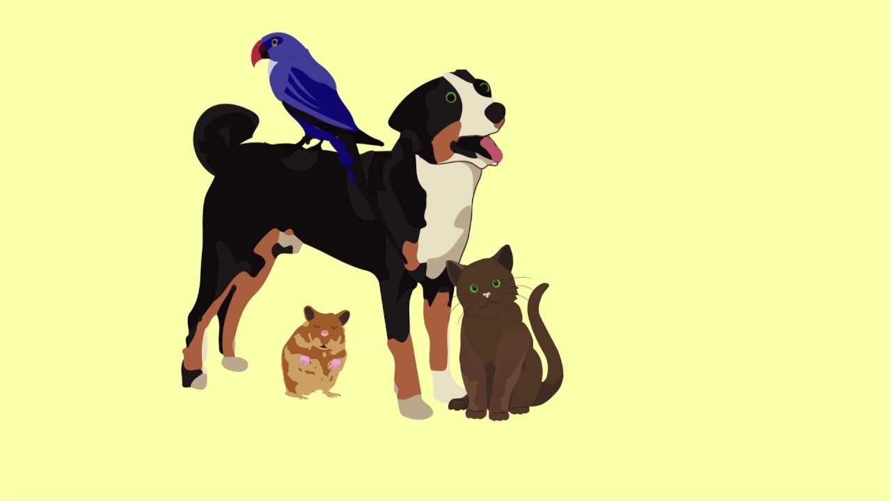 The hidden work of pets in helping people with mental health problems