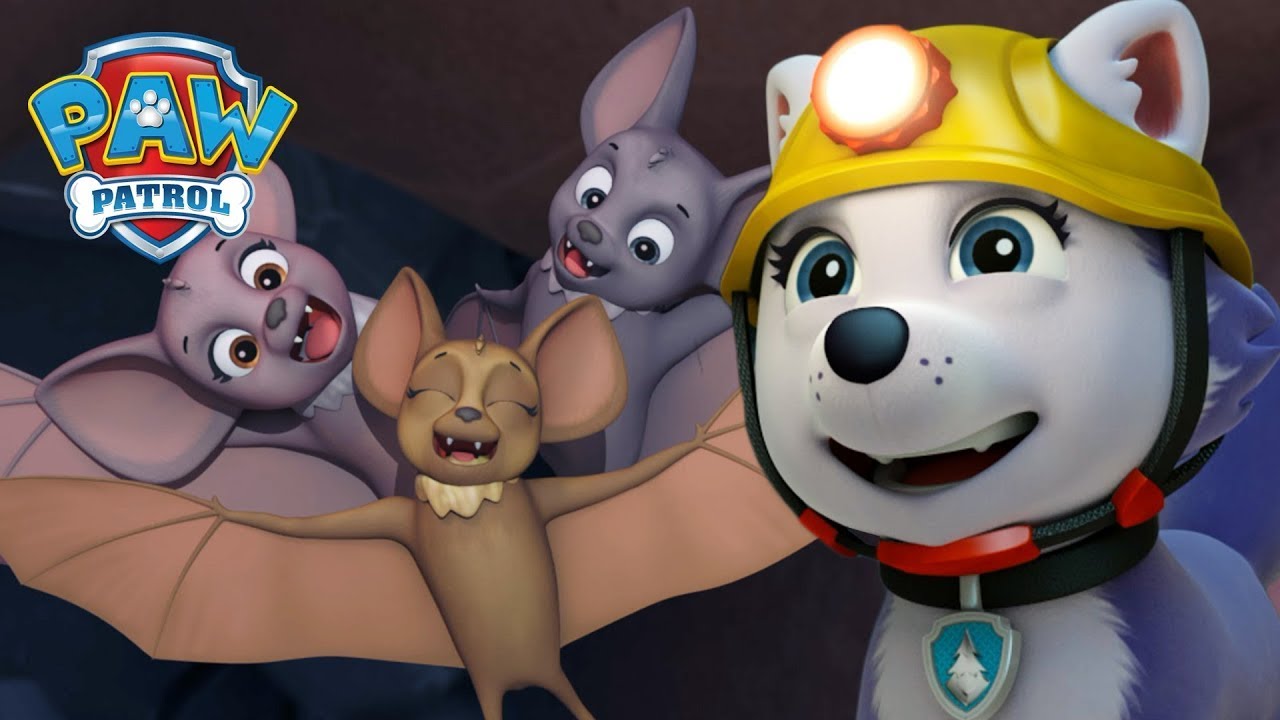 阻止山体滑坡 - PAW Patrol 汪汪隊立大功 - 兒童卡通
