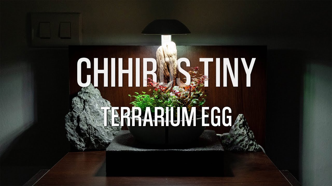 Chihiros Tiny Terrarium Egg - (Cinematic Video)