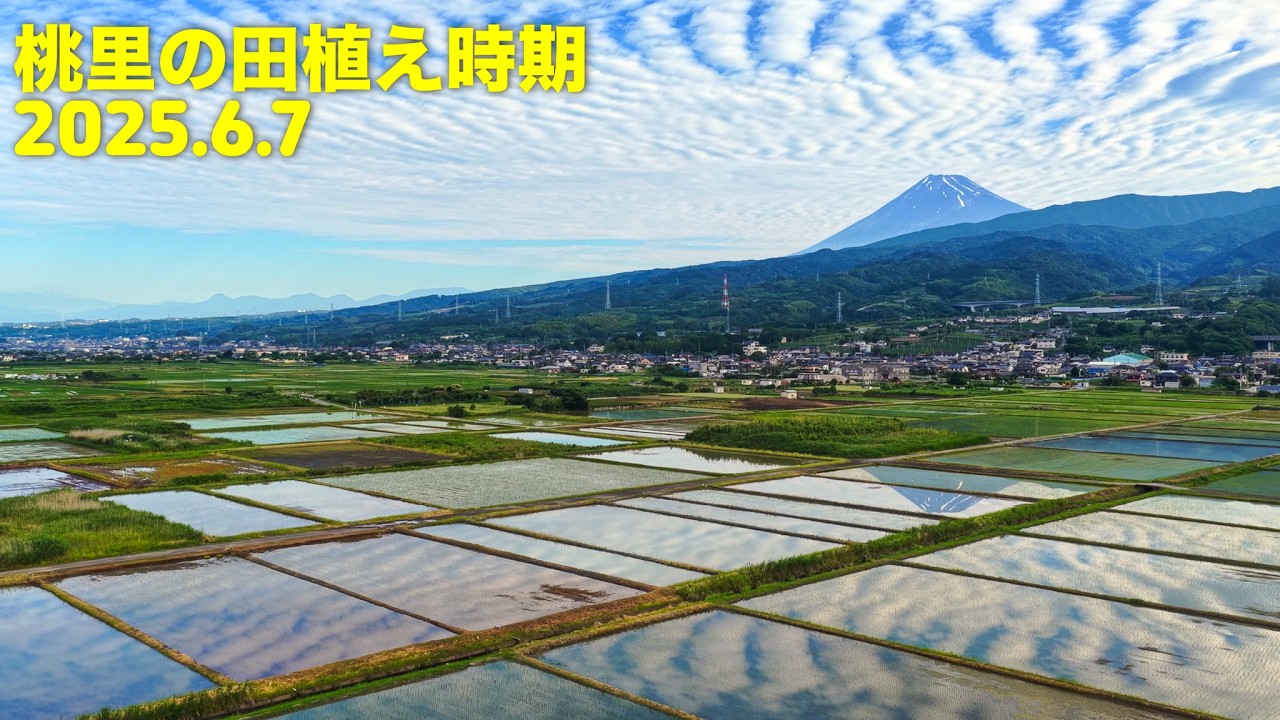 20260228 桃里の田植え時期（202506）
