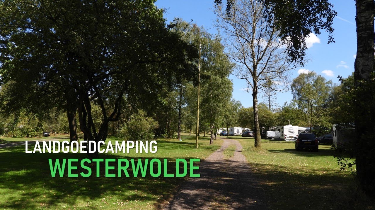 Landgoedcamping Westerwolde - Veluwe (NL) - ★★★★★