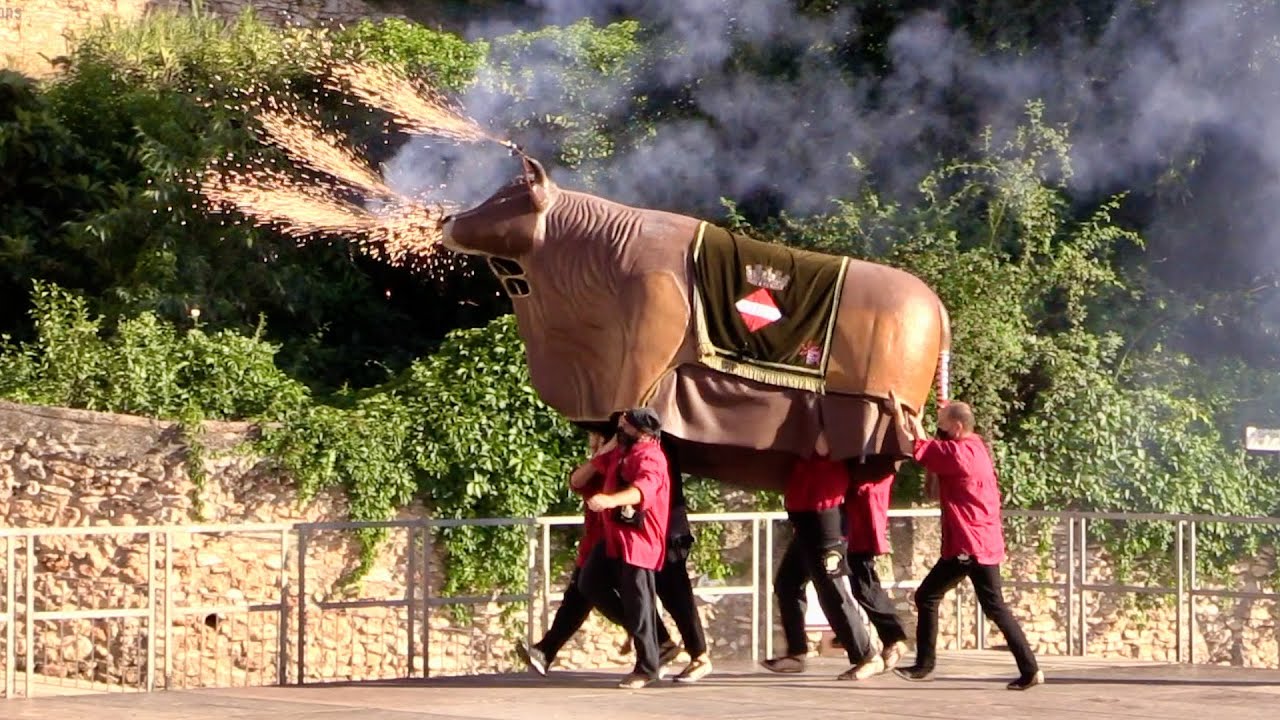 Els Bous de la Festa Major (Sant Joan 2021)