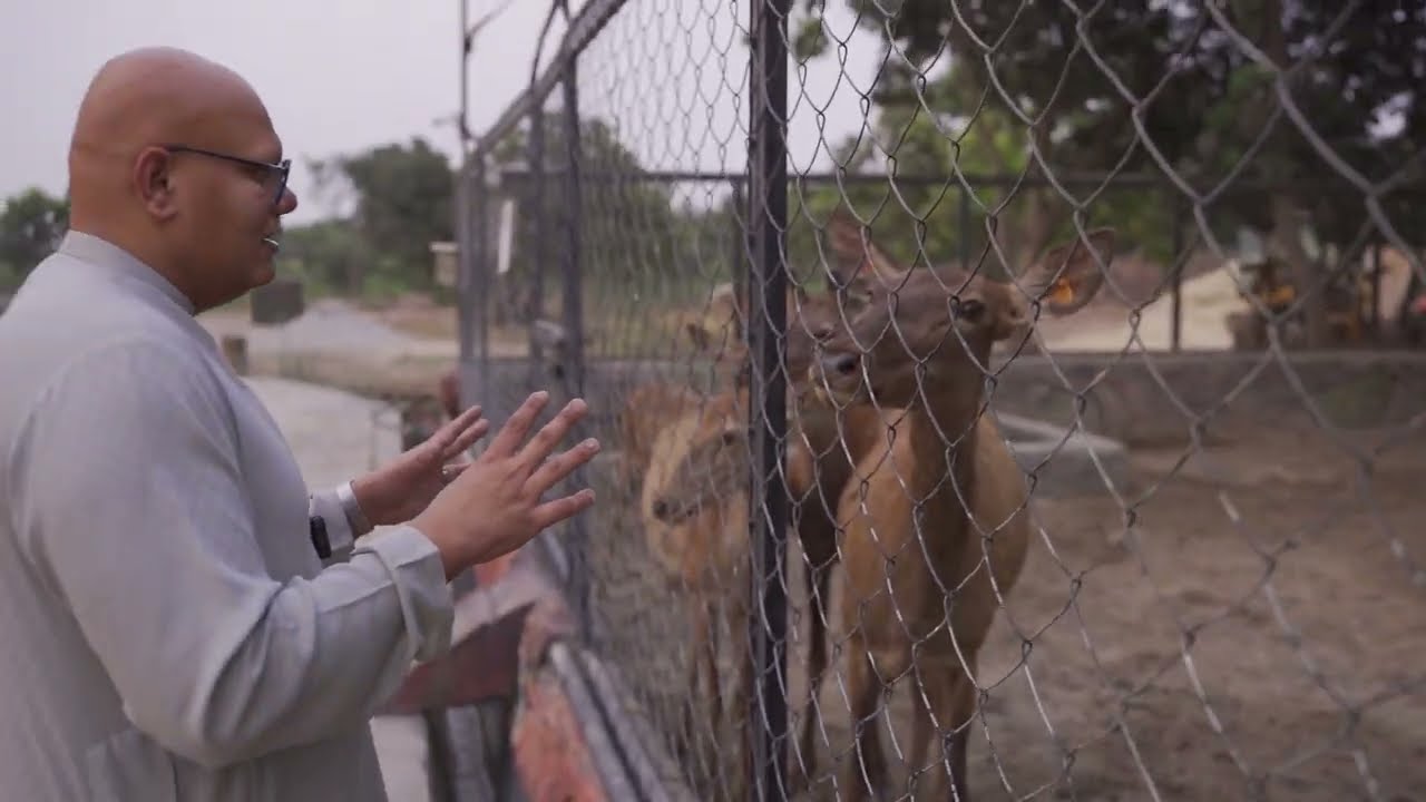 New Entry Coco Ki Cousin Aa Gayi 🦙| Bull Theel Ho Gaya! 🐂 | BT Farm Stories