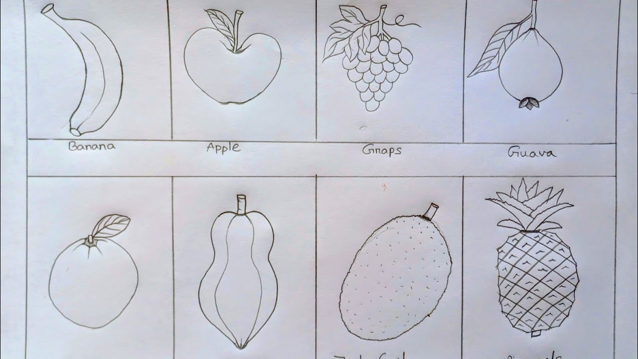 How to draw fruits ll 8 different type of fruit drawing for beginner ll easy step by step